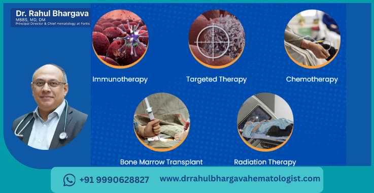 Newly Diagnosed With Multiple Myeloma: What Are Your Treatment Options?